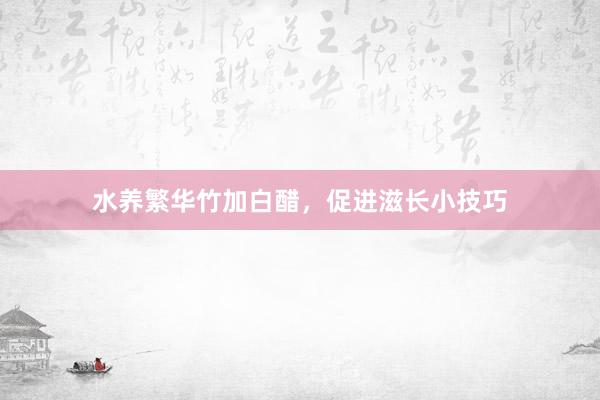 水养繁华竹加白醋，促进滋长小技巧