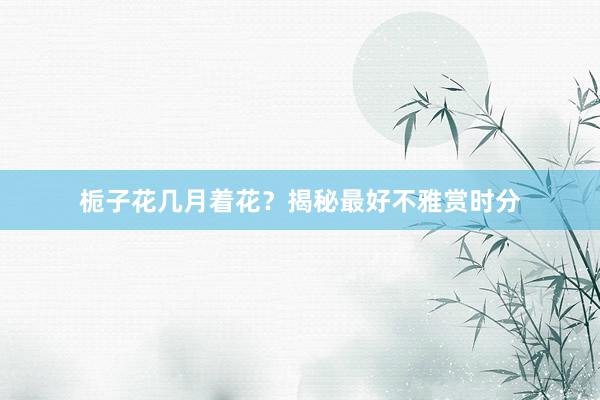 栀子花几月着花？揭秘最好不雅赏时分