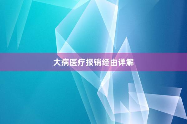 大病医疗报销经由详解