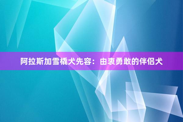 阿拉斯加雪橇犬先容：由衷勇敢的伴侣犬