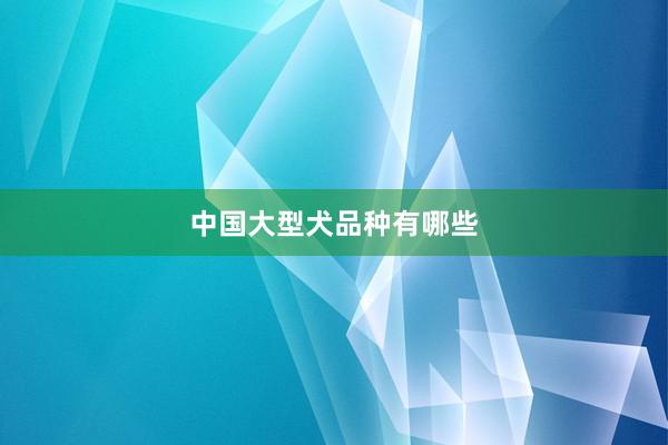 中国大型犬品种有哪些