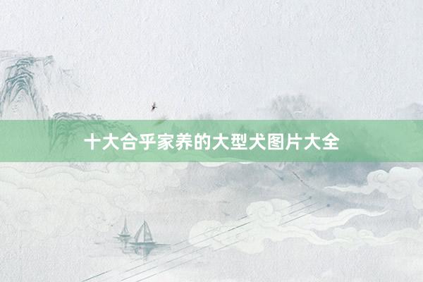 十大合乎家养的大型犬图片大全