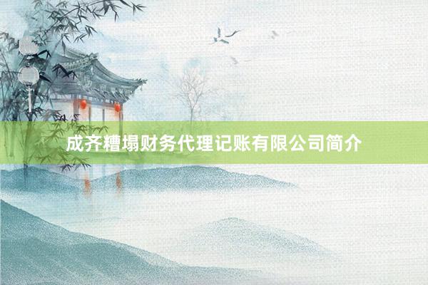 成齐糟塌财务代理记账有限公司简介